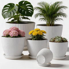 RooTrimmer 6 pack of multi size plastic plant pots in white