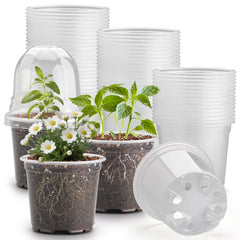 RooTrimmer 60 Pack Clear Nursery Pots front view with humidity domes