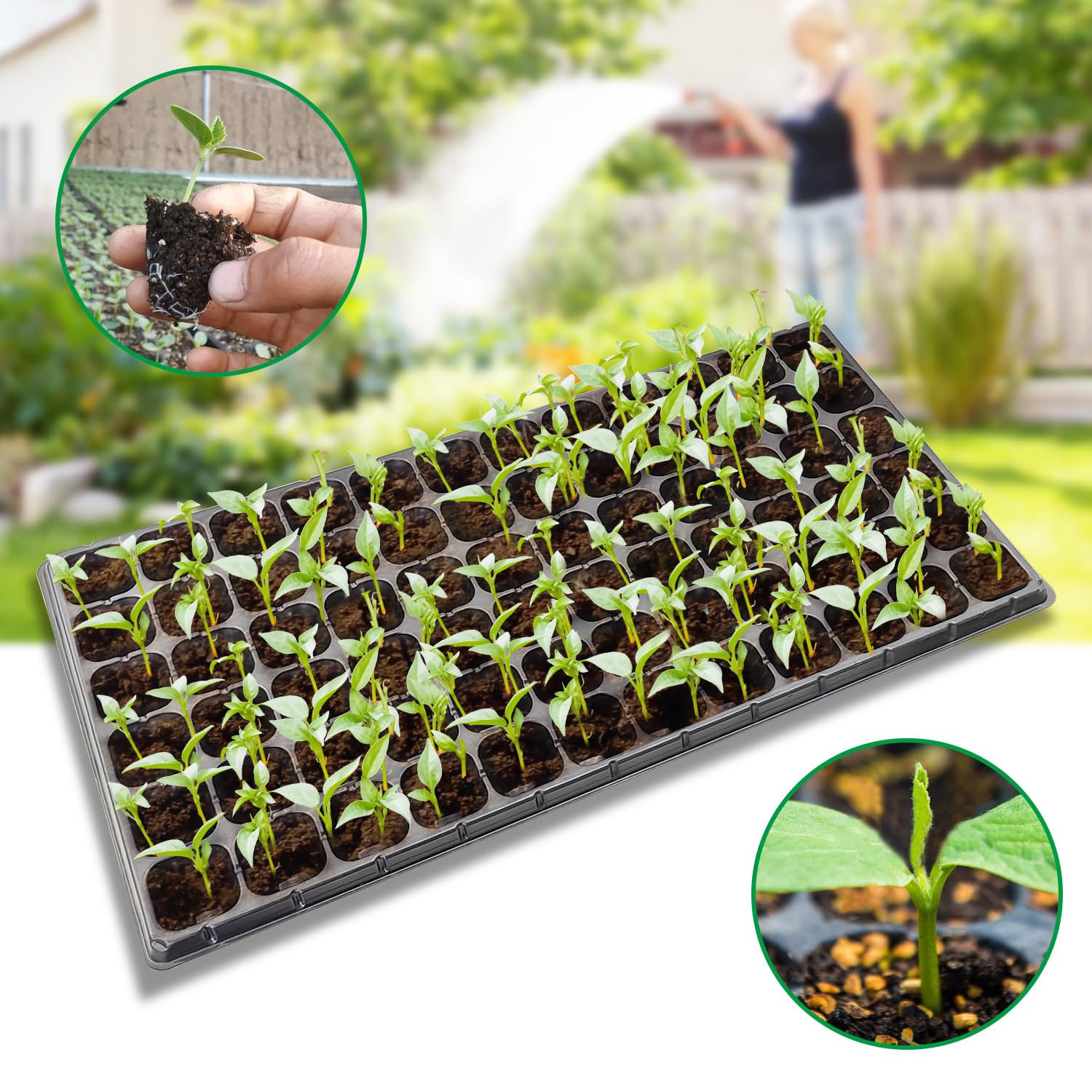 RooTrimmer 72 Cell Seed Tray filled with soil ready for planting