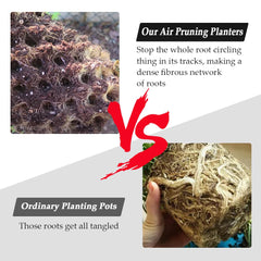 RooTrimmer Air Pruning Planters round base for assembly