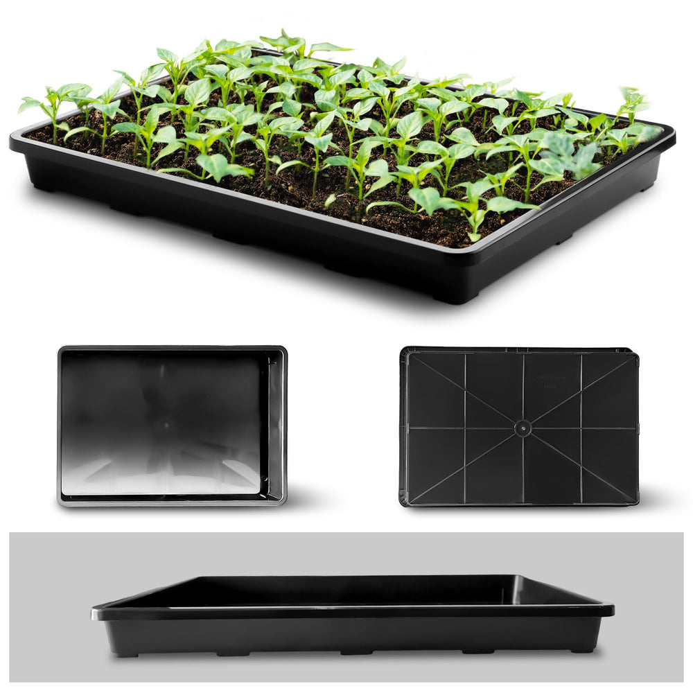 RooTrimmer black potting tray with seedlings