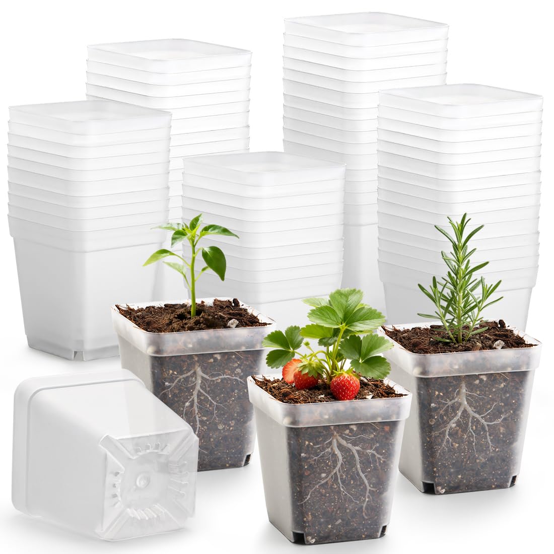 RooTrimmer clear nursery pots 120 pack front view