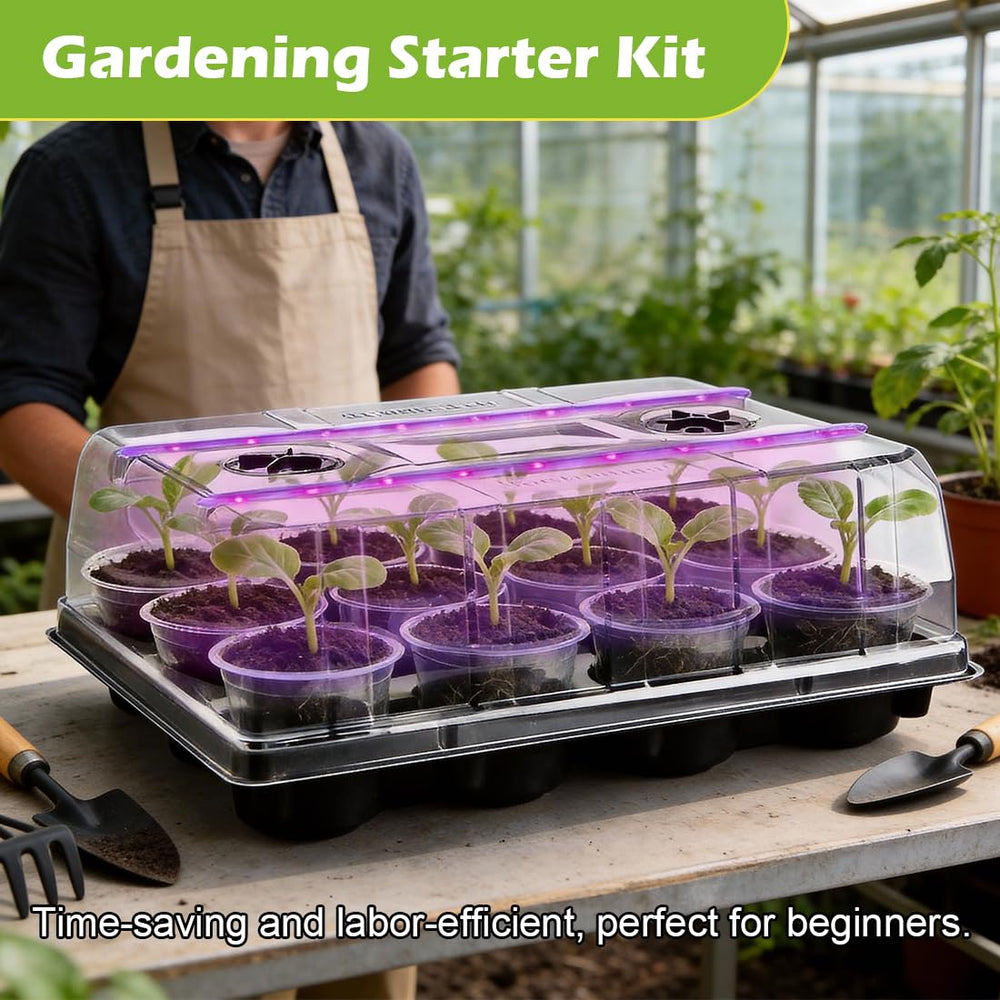 RooTrimmer clear plant pots in a compact arrangement