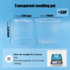 RooTrimmer clear pots showing drainage holes
