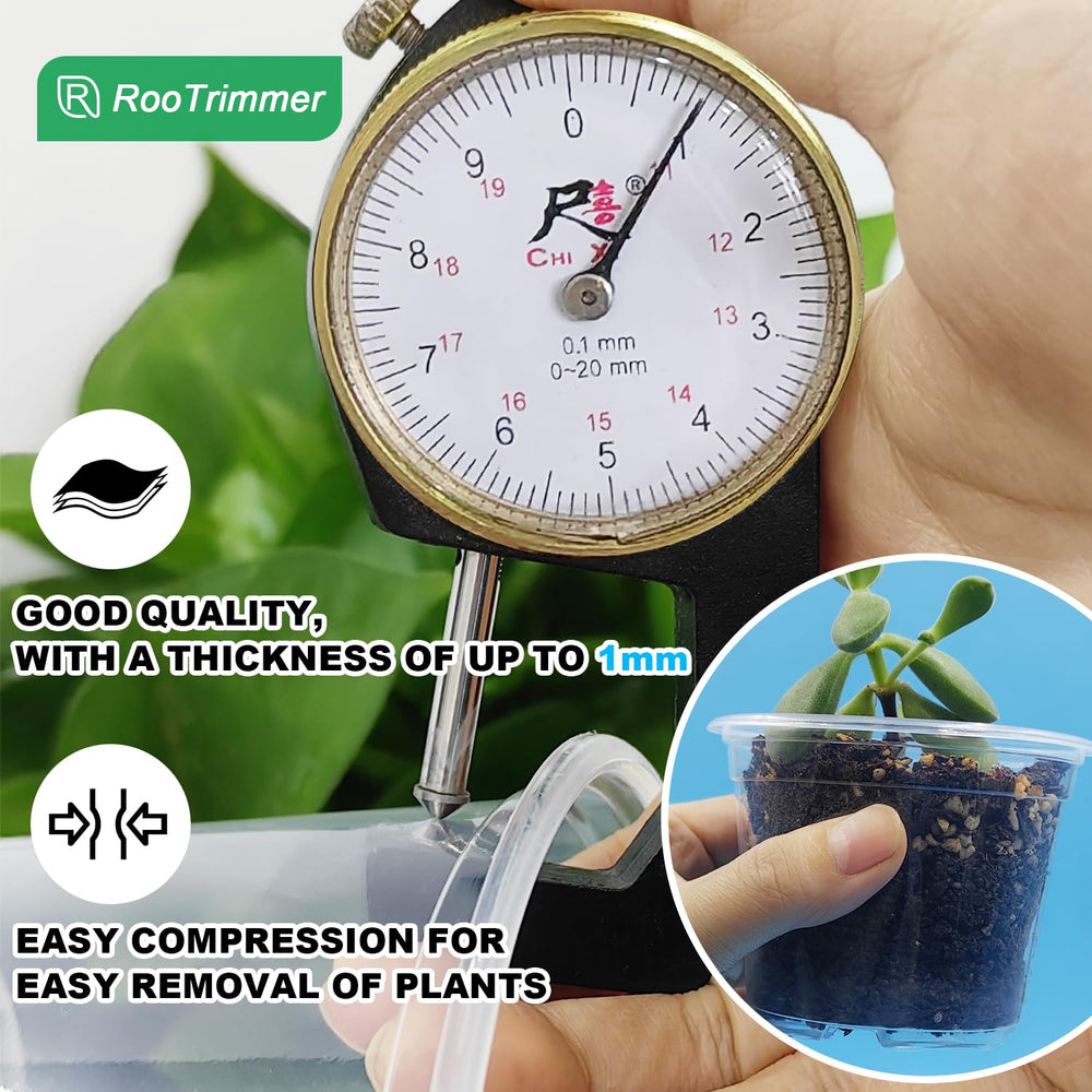 RooTrimmer clear seedling pot with seedlings growing