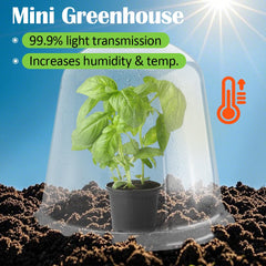 RooTrimmer Garden Cloches on 5-gallon nursery pots in garden