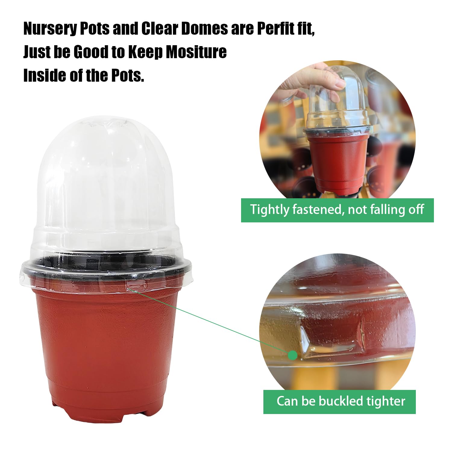 RooTrimmer humidity dome fitting a 4-inch pot