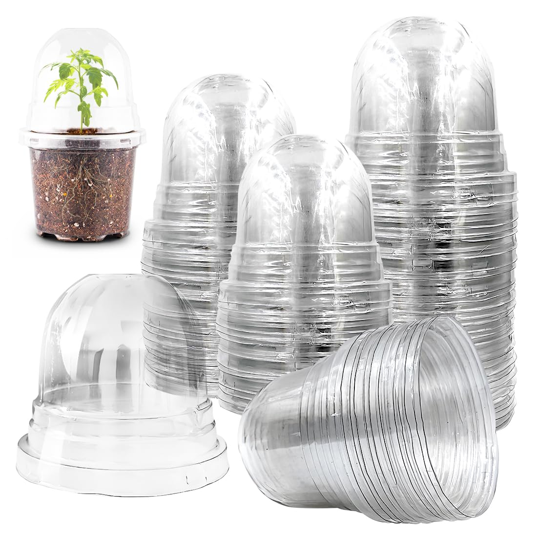 RooTrimmer humidity dome for 4 inch pots, clear plastic design
