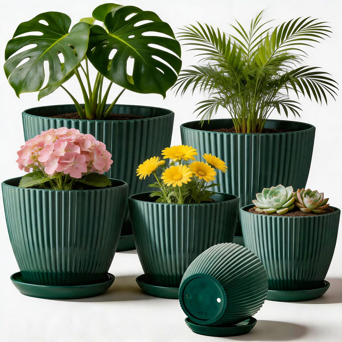 RooTrimmer Multi Size Plastic Pots set, dark green, front view