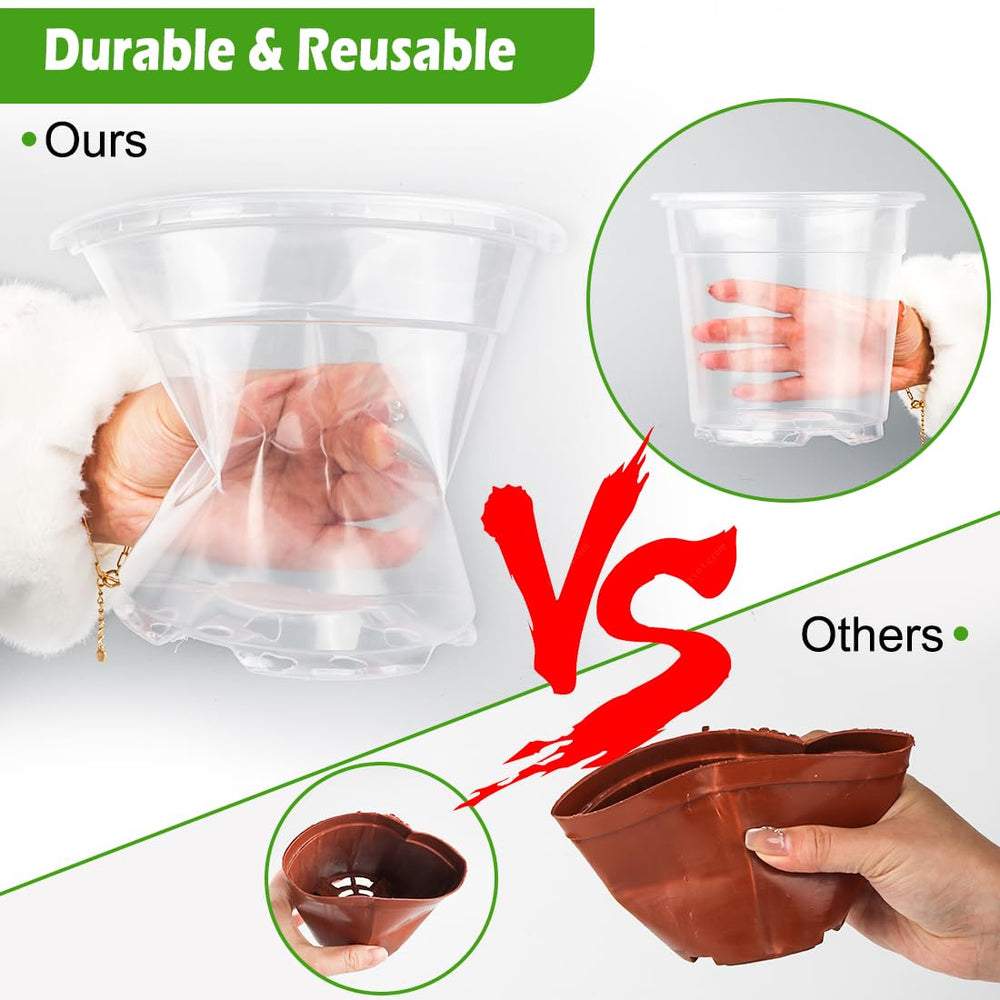 RooTrimmer nursery pot with seedlings growing inside