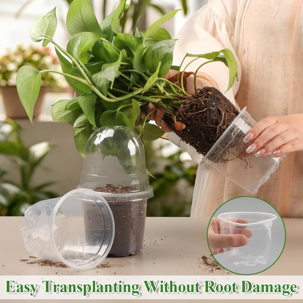 RooTrimmer nursery pots in a gardening setup