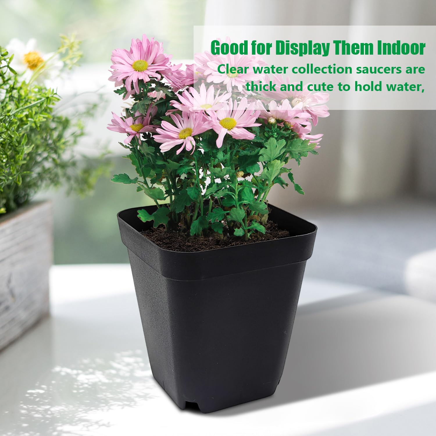 RooTrimmer nursery pots in a greenhouse setting