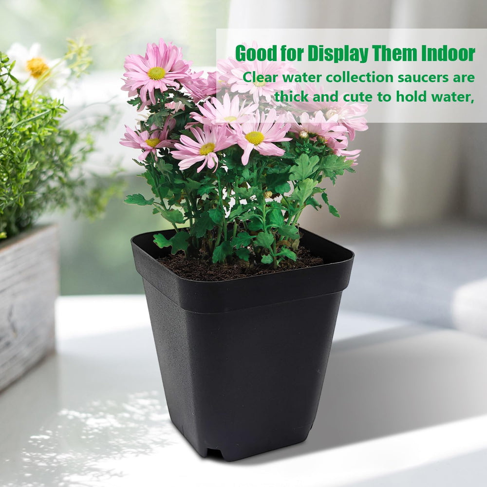 RooTrimmer nursery pots in a greenhouse setting