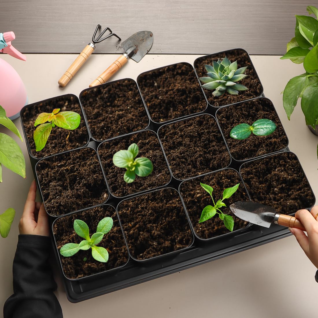 RooTrimmer nursery pots with herbs growing inside