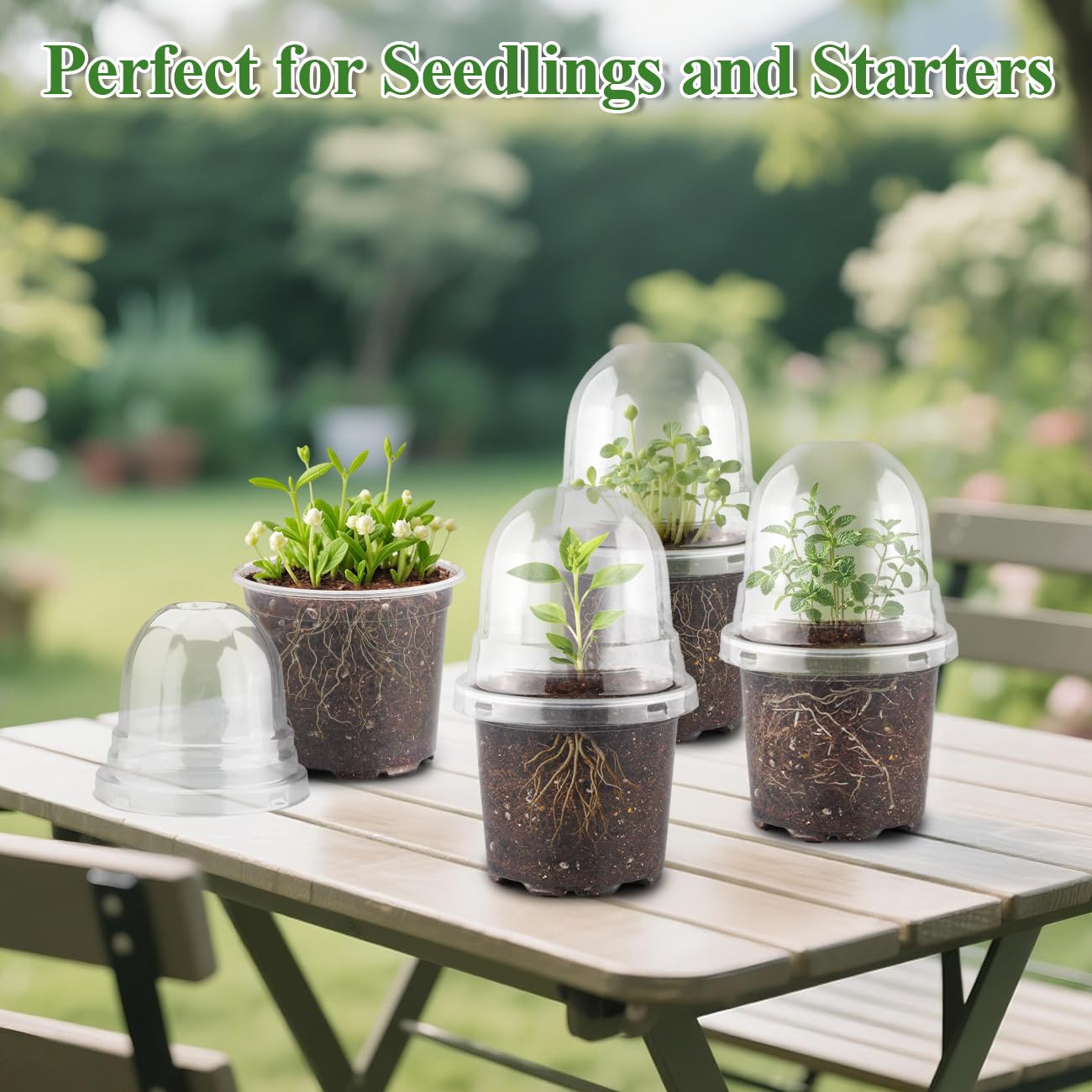 RooTrimmer nursery pots with various plants
