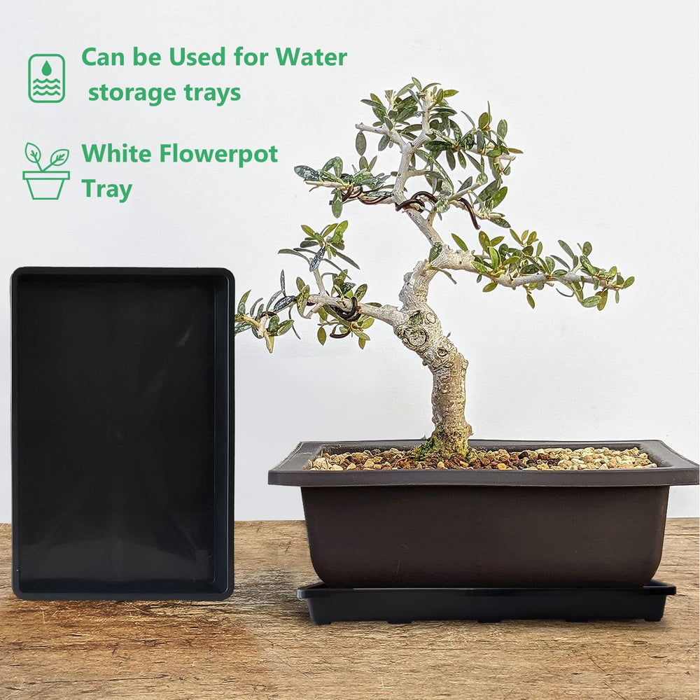 RooTrimmer nursery potting tray with 24 cell pots