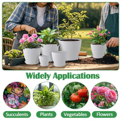 RooTrimmer plant pots with saucers, displaying different sizes