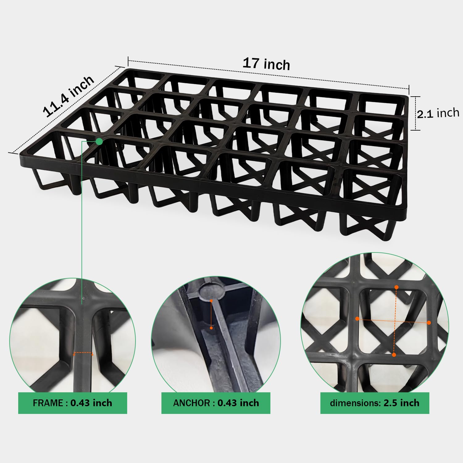 RooTrimmer Plant Tray with 24 cells filled with seedlings