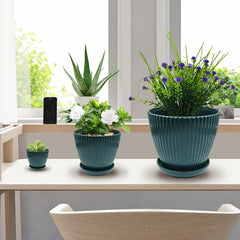 RooTrimmer pots arranged in a stylish indoor setting