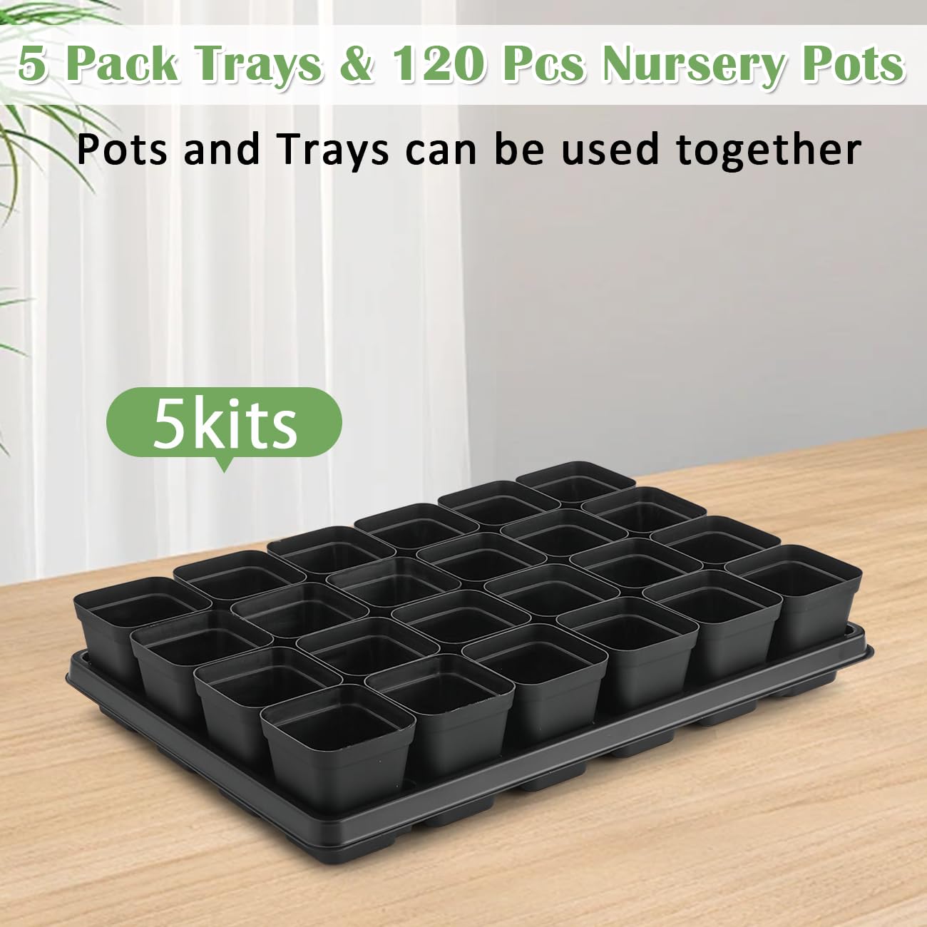 RooTrimmer pots arranged in a tray setup