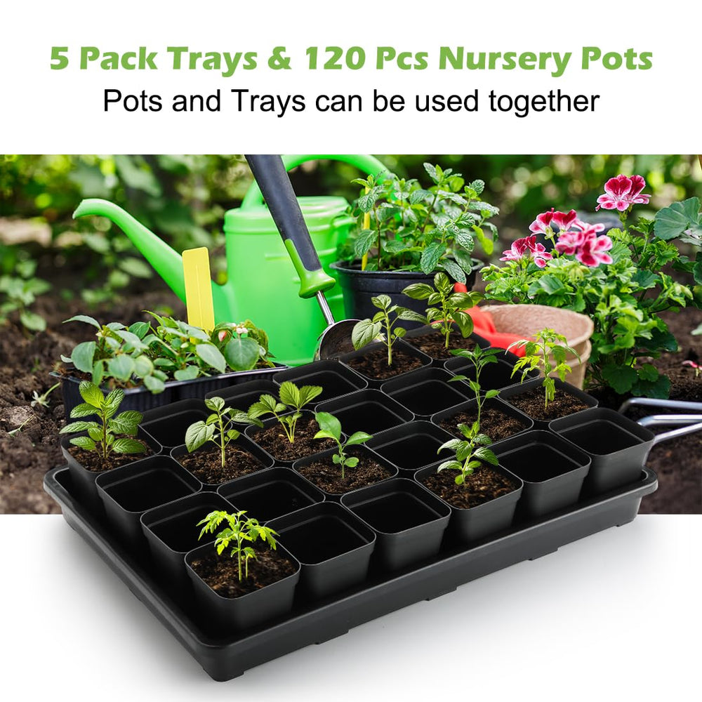 RooTrimmer pots filled with soil and seedlings