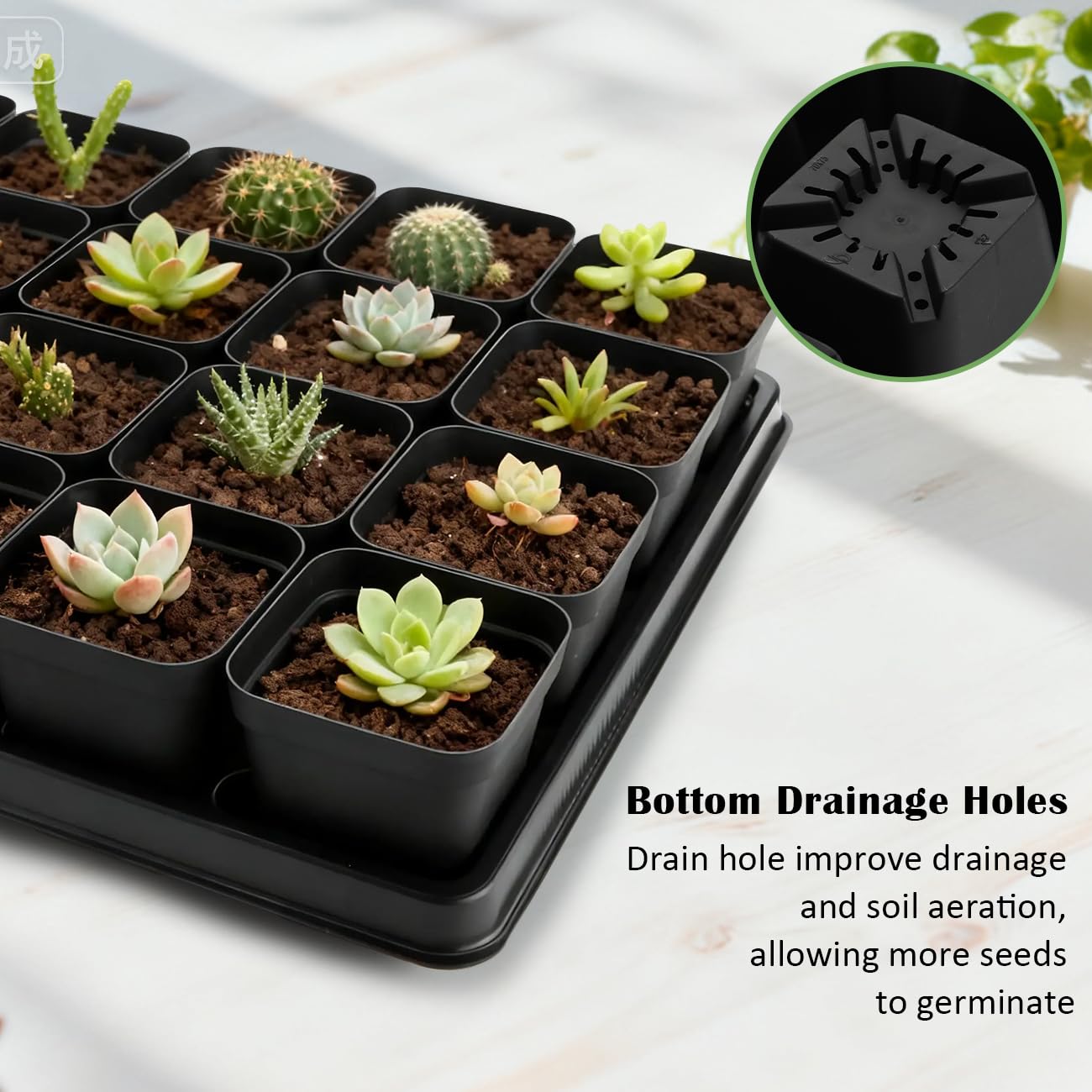 RooTrimmer pots with seedlings ready for planting