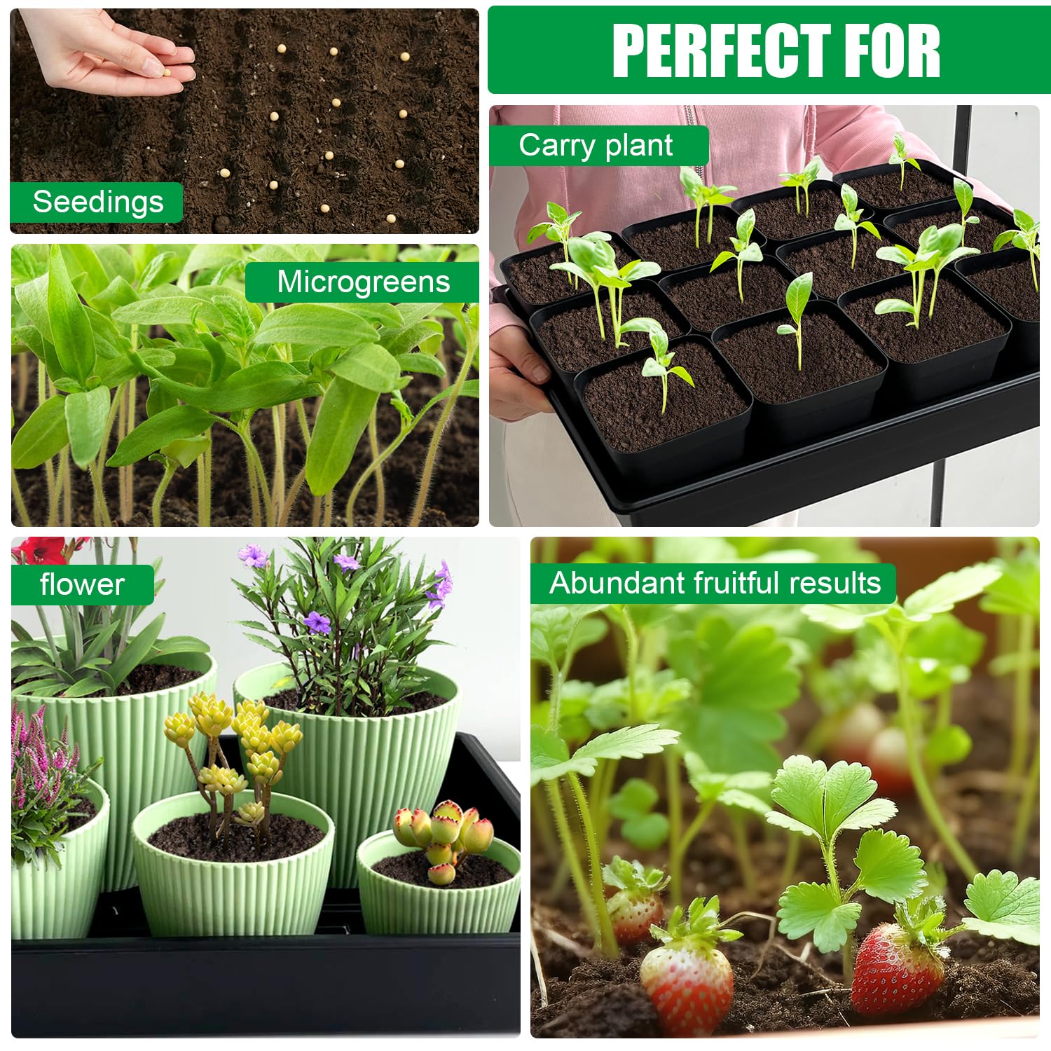 RooTrimmer Seed Starter Tray dimensions and specifications