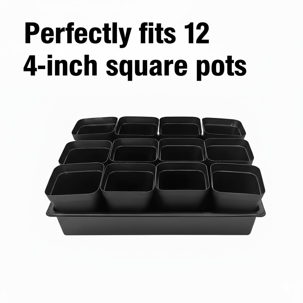 RooTrimmer Seed Starter Tray filled with soil and seedlings