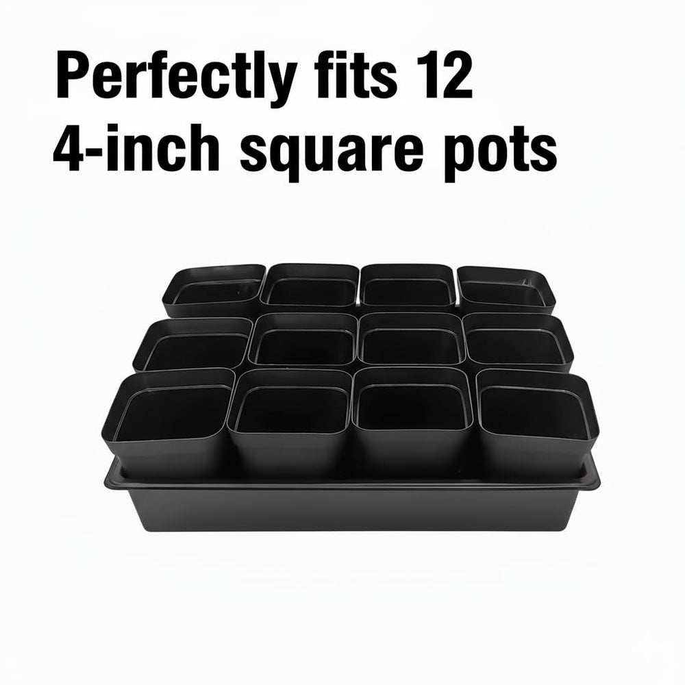 RooTrimmer Seed Starter Tray filled with soil and seedlings