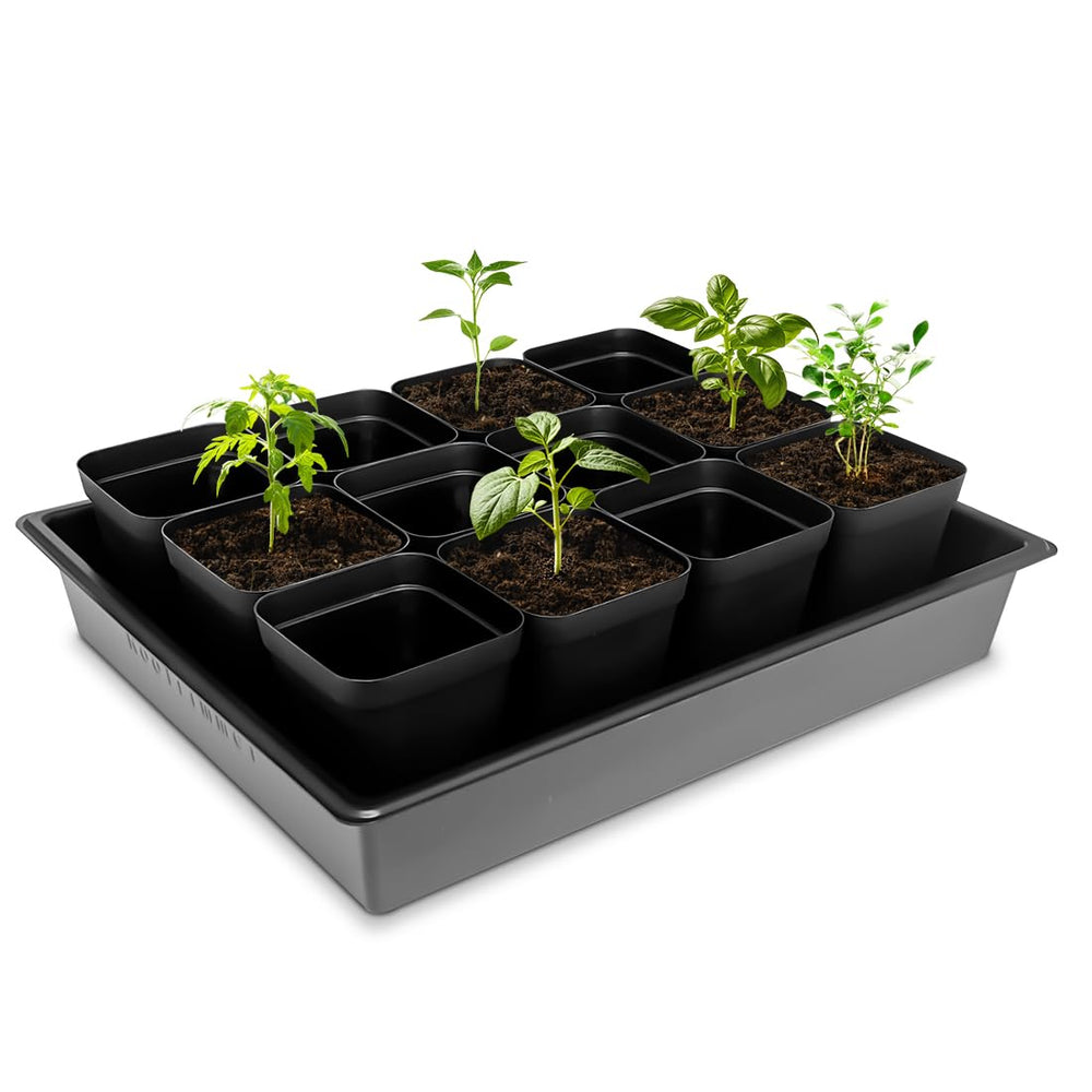 RooTrimmer Seed Starter Tray with seedlings planted