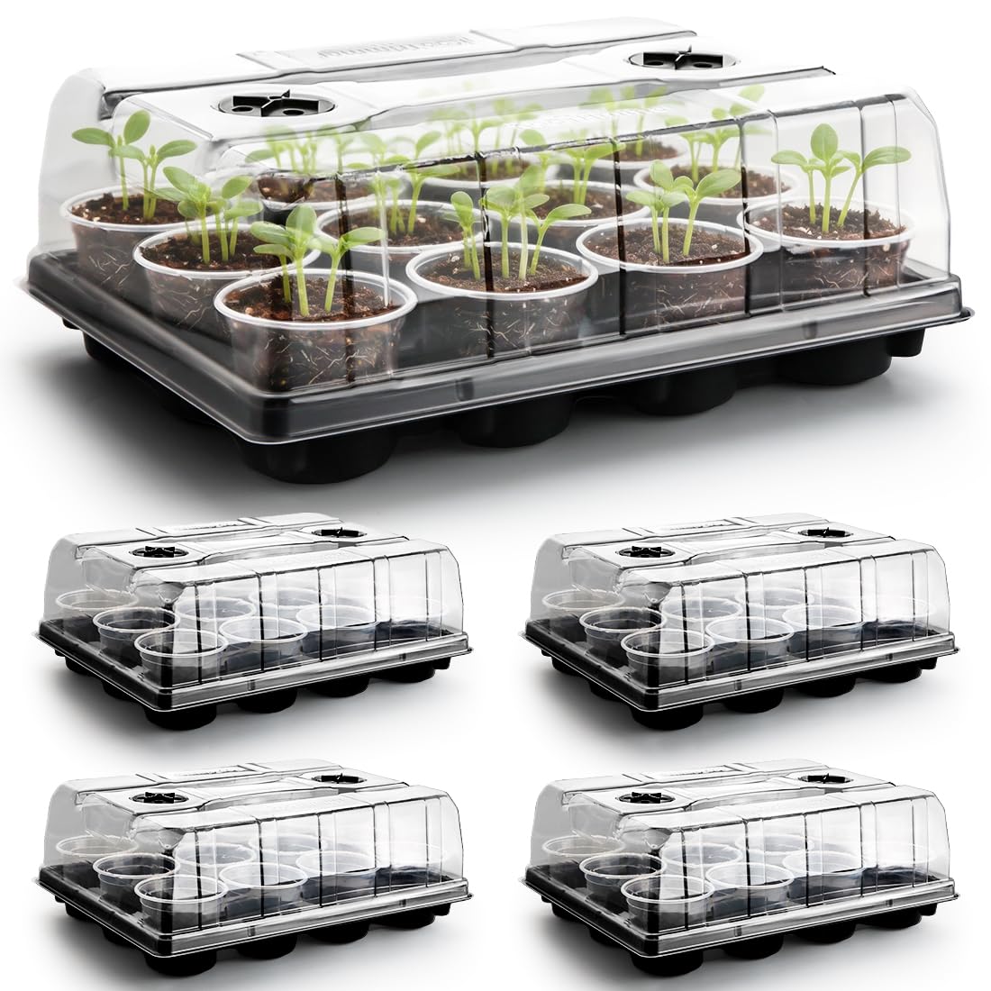 RooTrimmer Seed Starting Kit 5 pack with trays and humidity domes