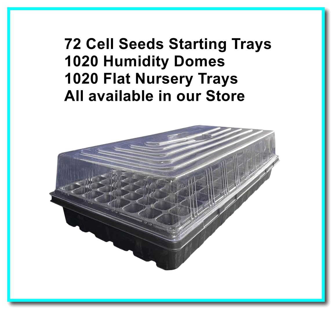 RooTrimmer seed tray displaying drip holes for drainage