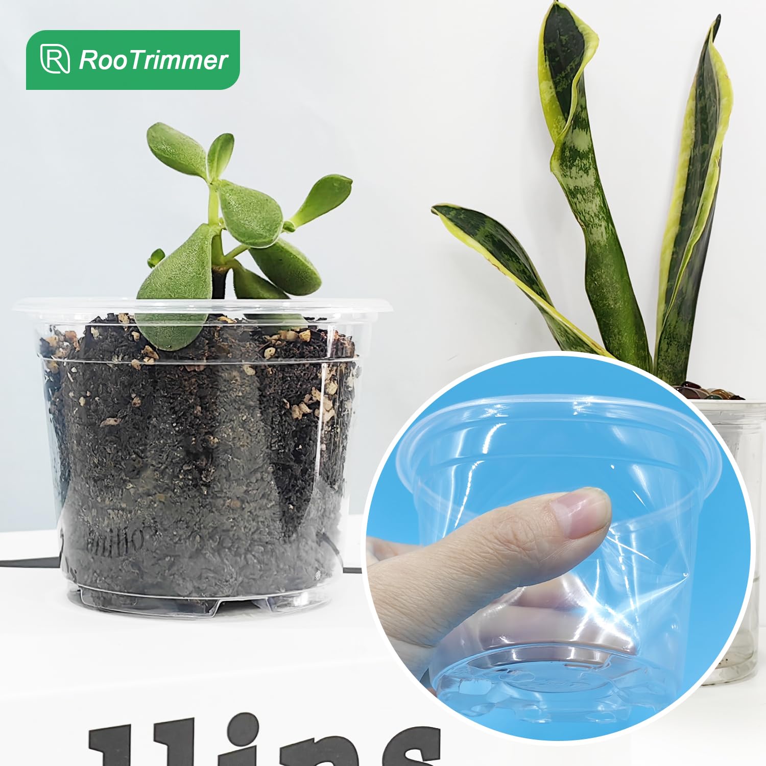 RooTrimmer seedling pot close-up showing material quality