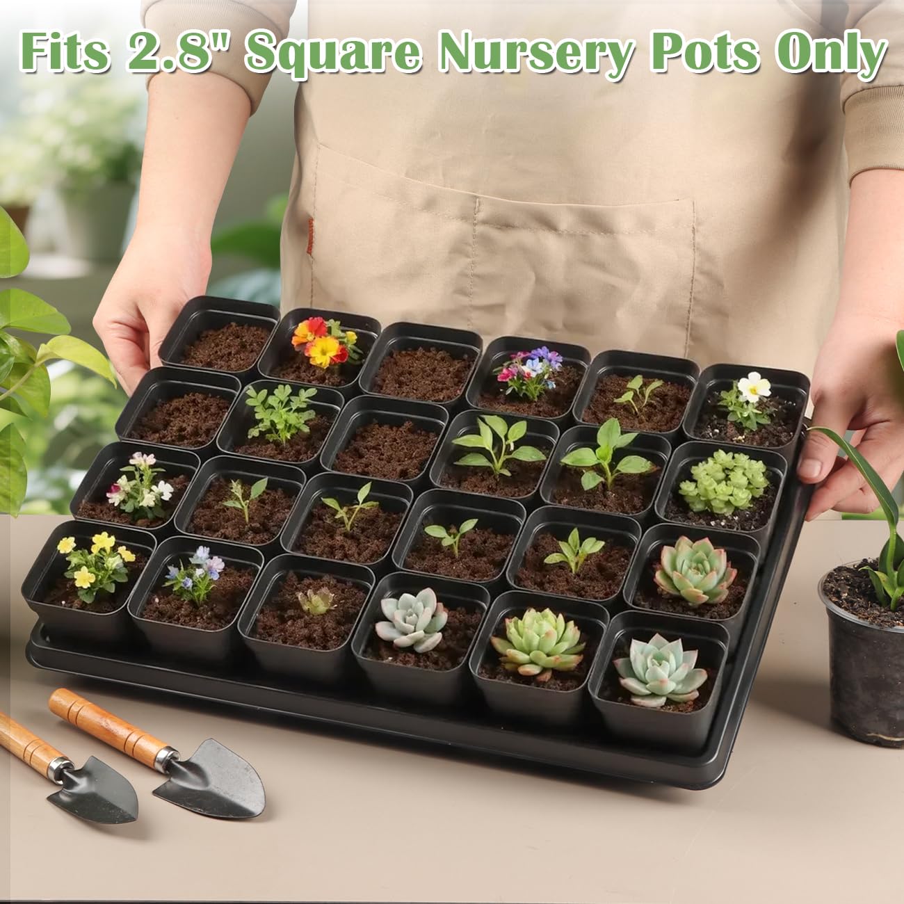 RooTrimmer seedling pots in a gardening environment
