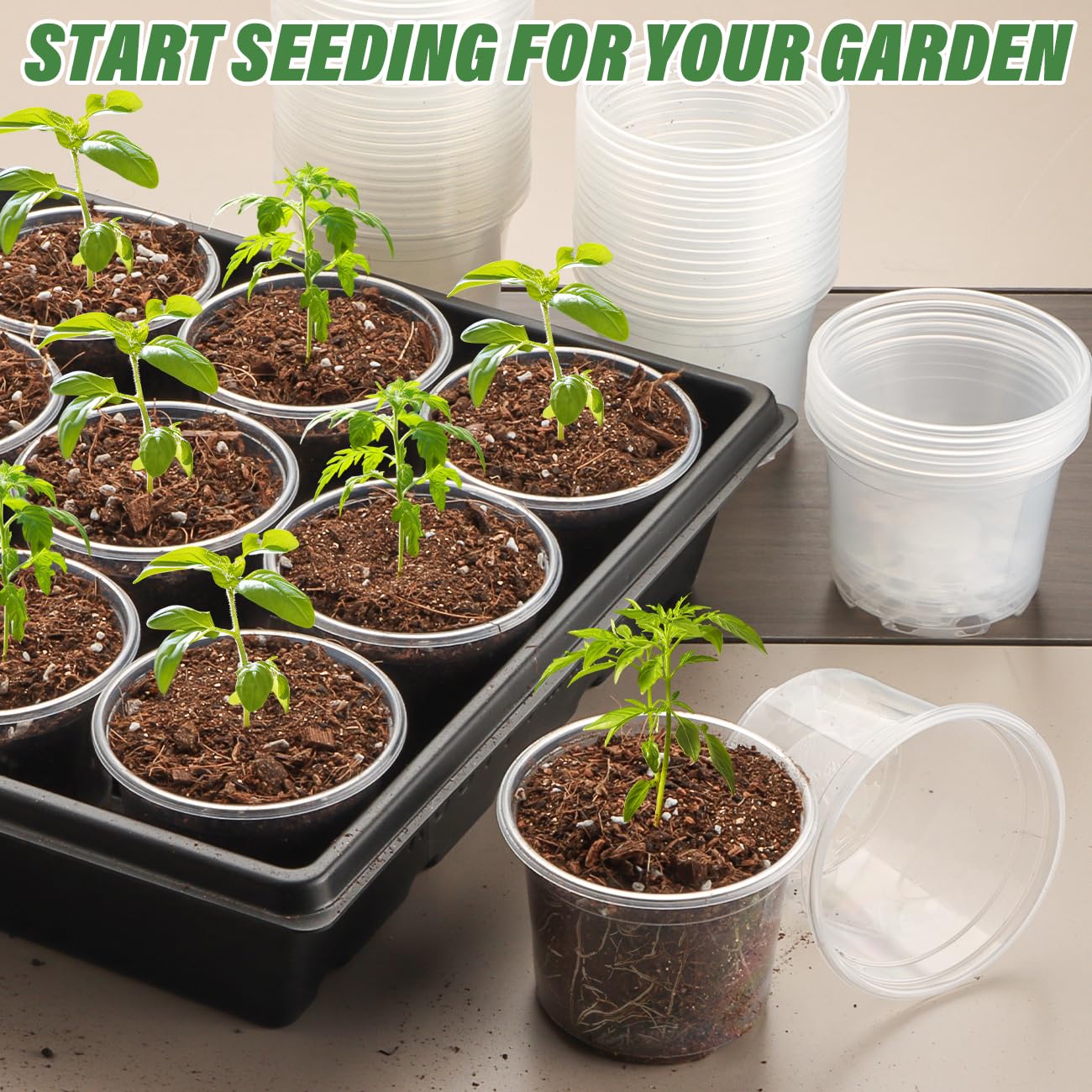 RooTrimmer seedling pots with a measuring tape for size reference