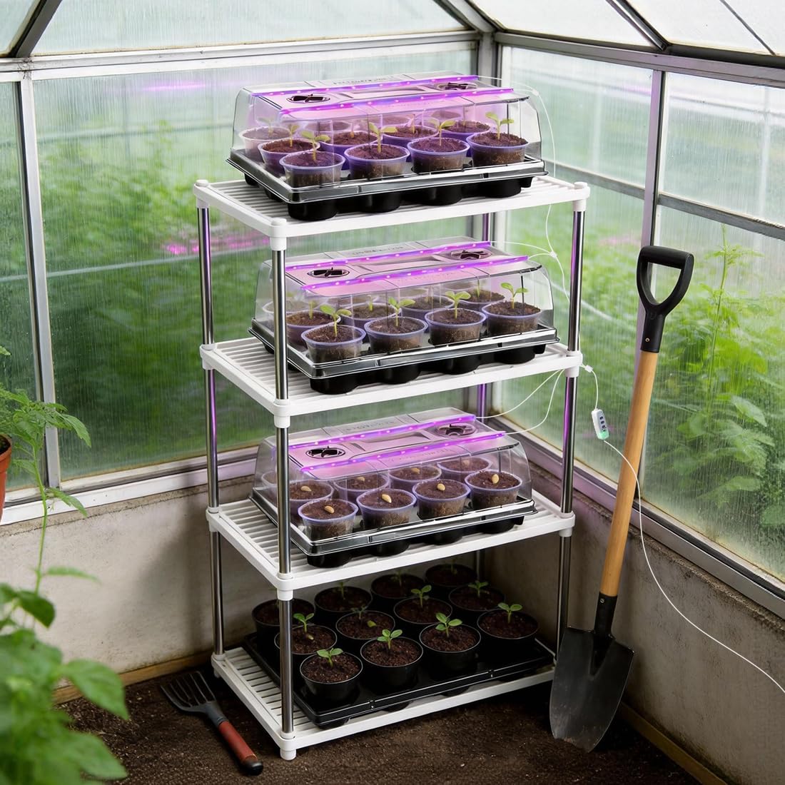 RooTrimmer seedling propagation pots and trays on a table