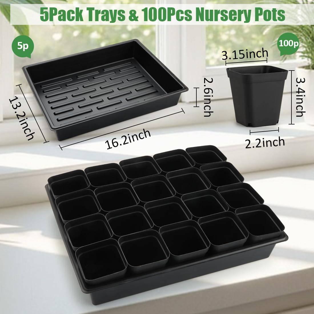 RooTrimmer seedling trays with 100 black nursery pots