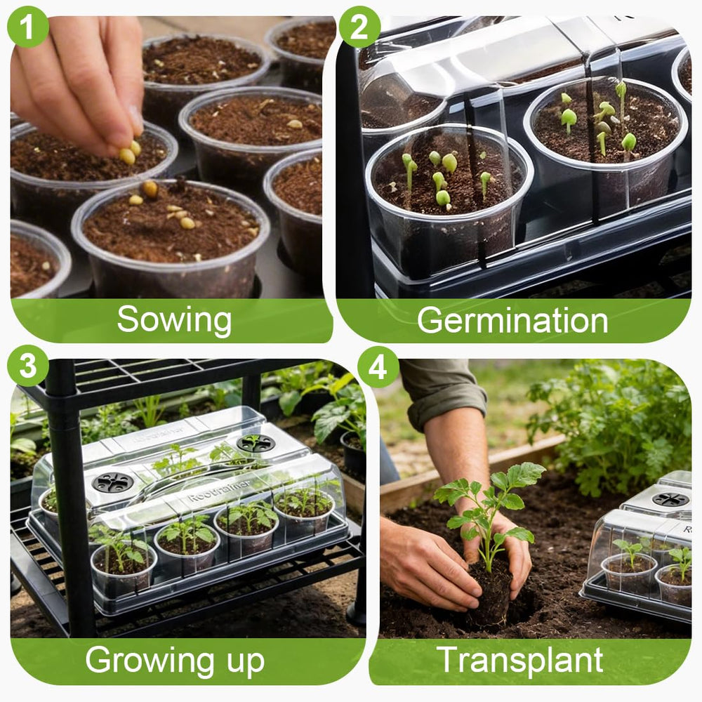 RooTrimmer trays filled with seedlings in a greenhouse