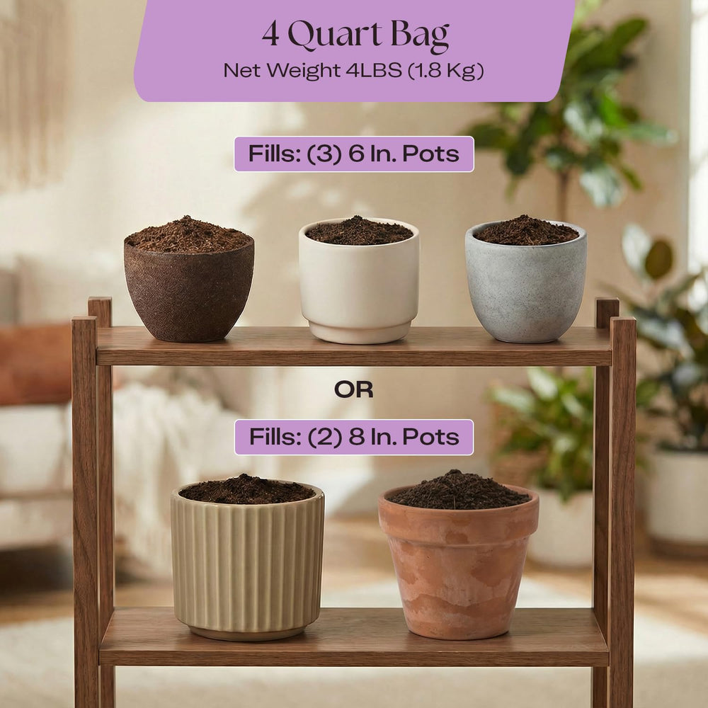 Rosy Soil Orchid Potting Mix beside healthy orchids