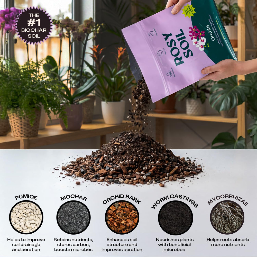 Rosy Soil Orchid Potting Mix with orchids in pots