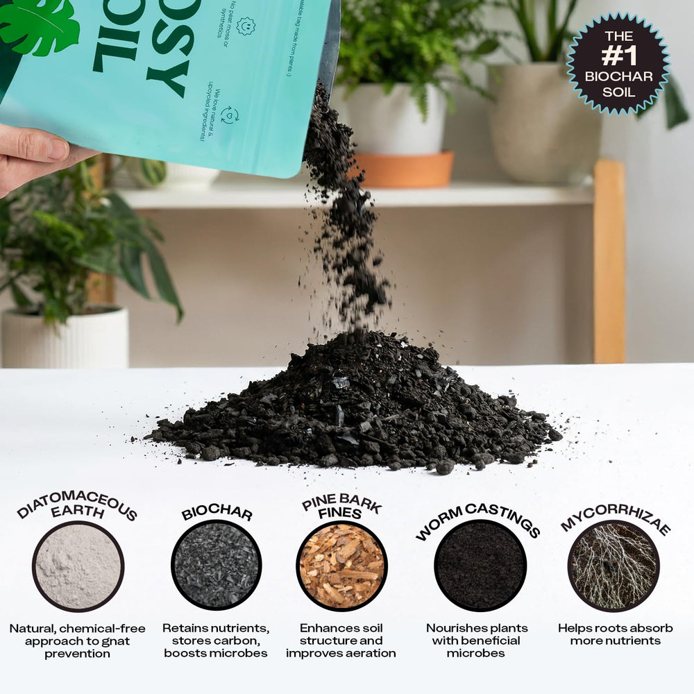Rosy Soil potting soil poured into a medium pot