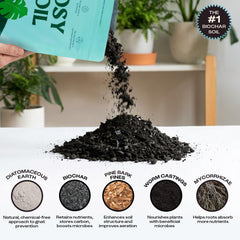 Rosy Soil potting soil poured into a medium pot