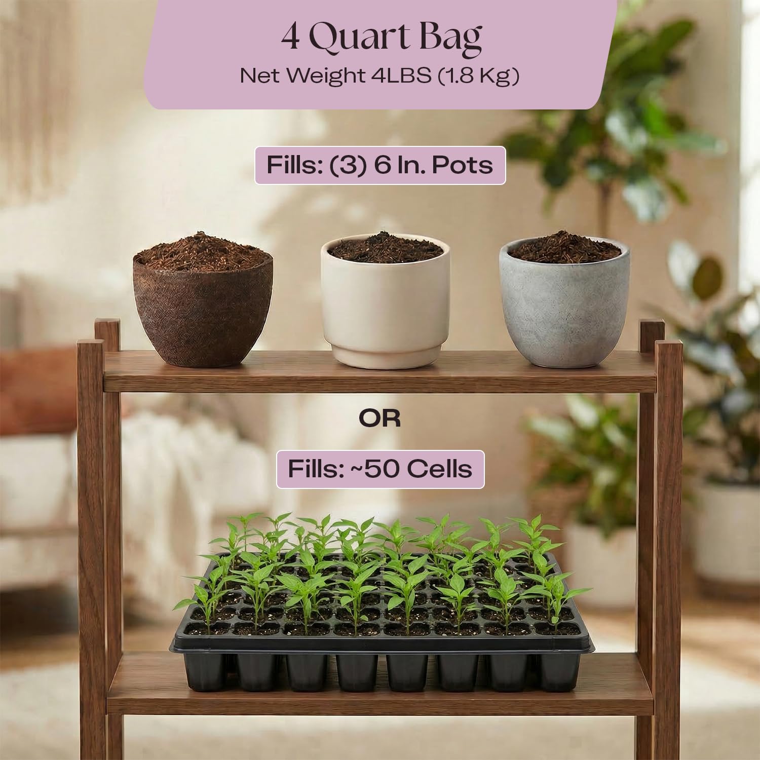 Rosy Soil Seedling Starter Soil Mix displayed with gardening tools