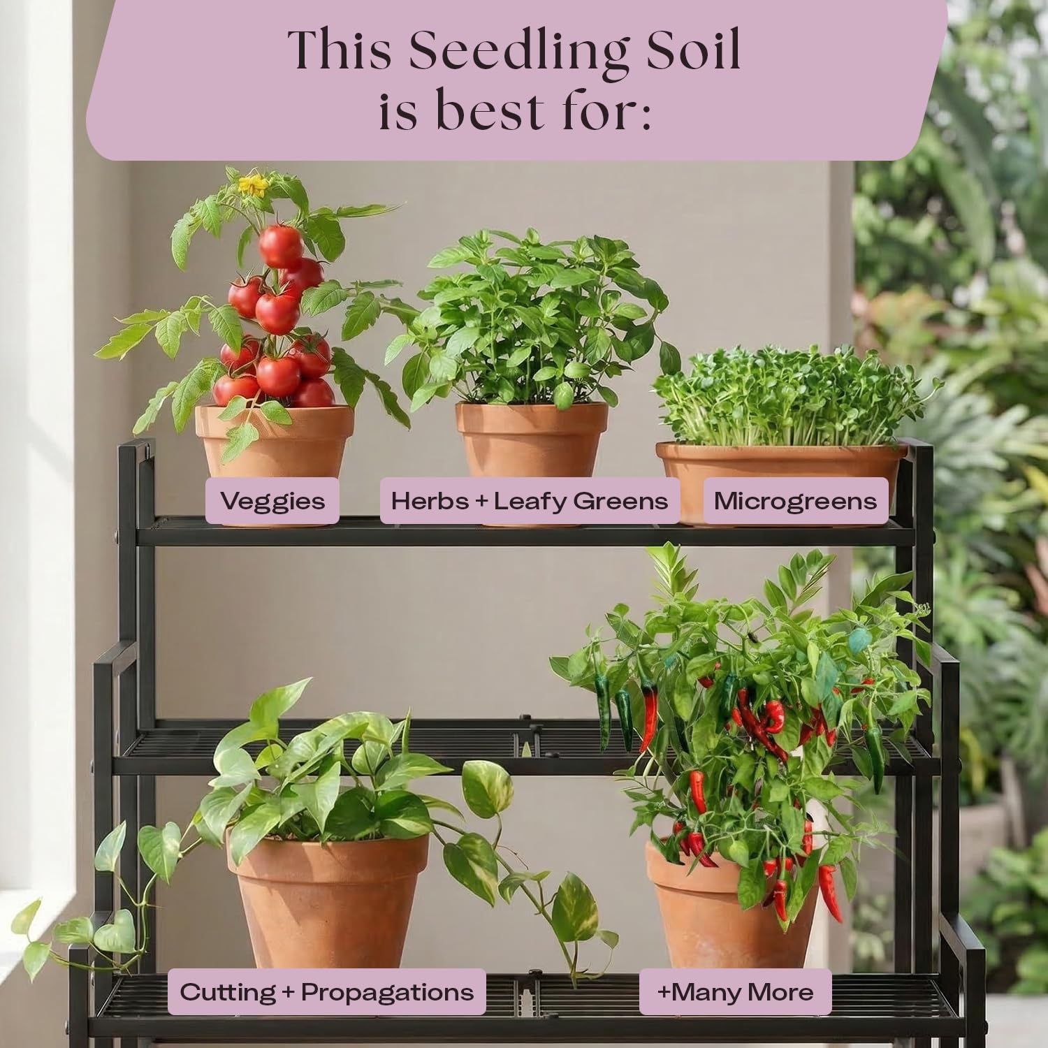Rosy Soil Seedling Starter Soil Mix in a garden setting with seedlings