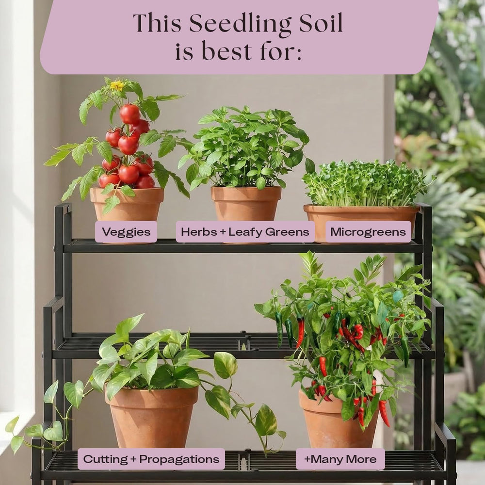 Rosy Soil Seedling Starter Soil Mix in a garden setting with seedlings