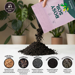 Rosy Soil Seedling Starter Soil Mix with various seeds for planting