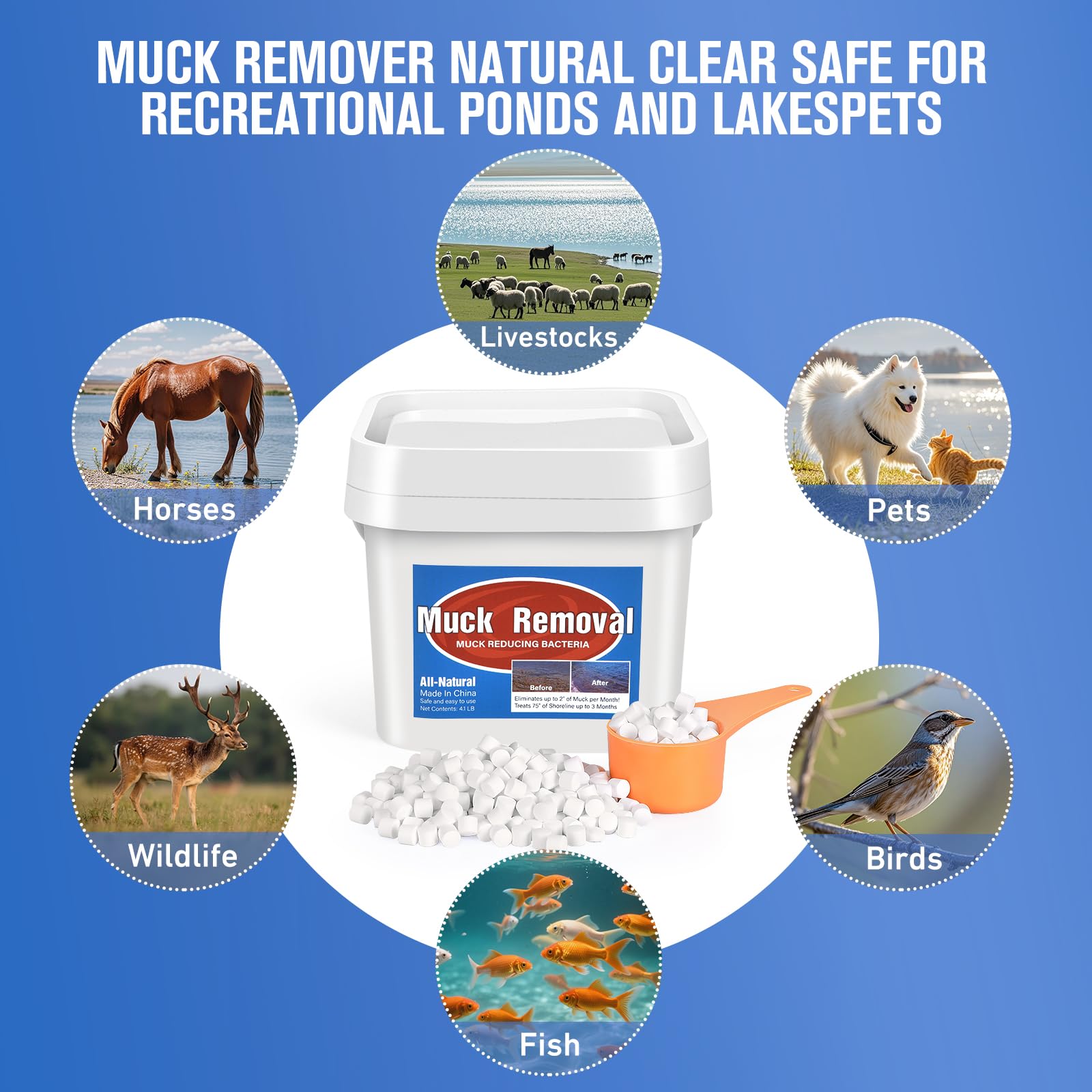 ROTIAH muck remover tablets dissolving in water