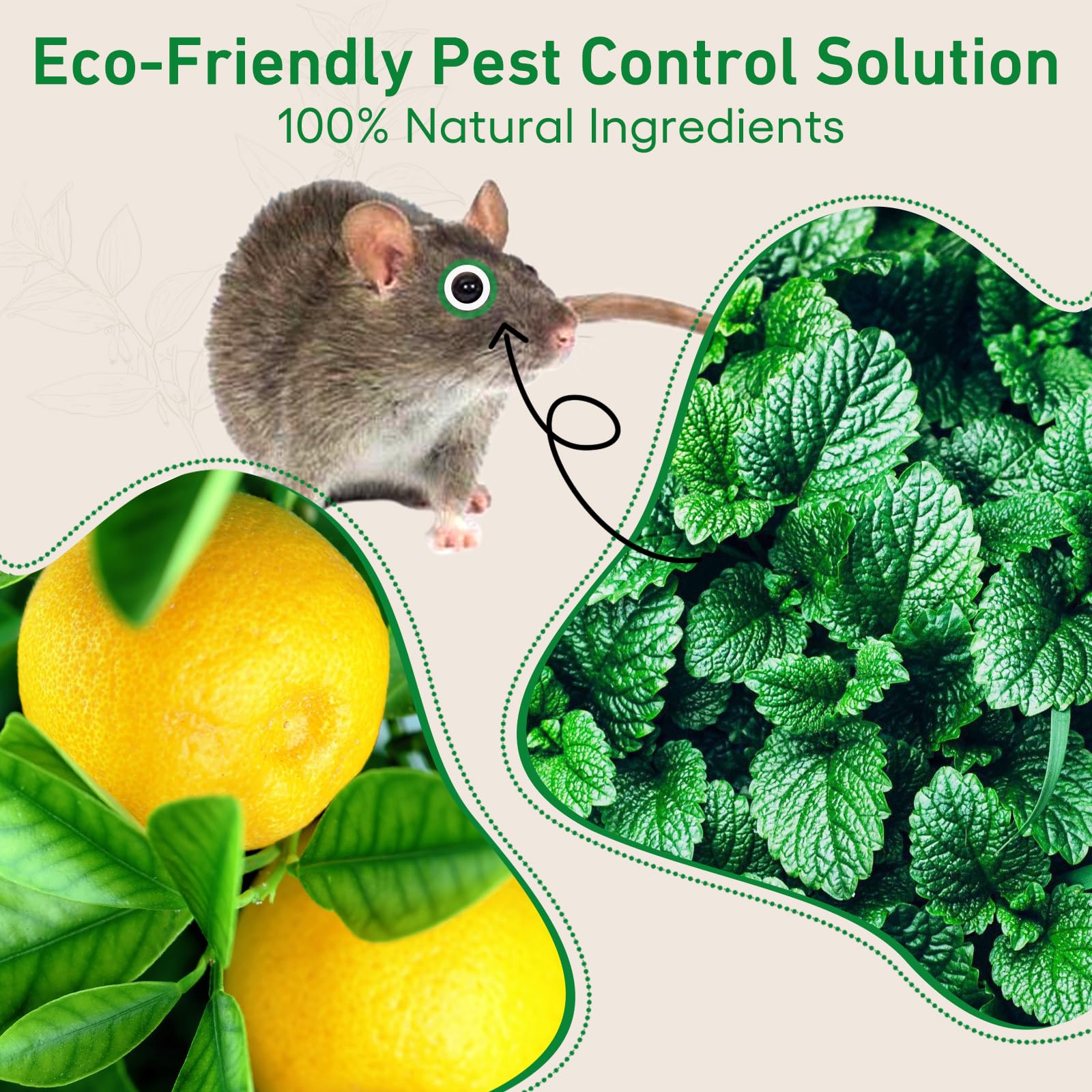 ROTIAH Pest Repellent packaging with product details