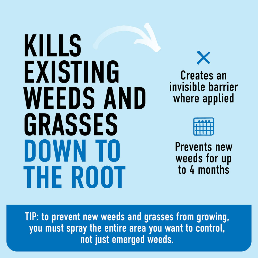 Roundup Dual Action Weed Killer alongside weeds it targets