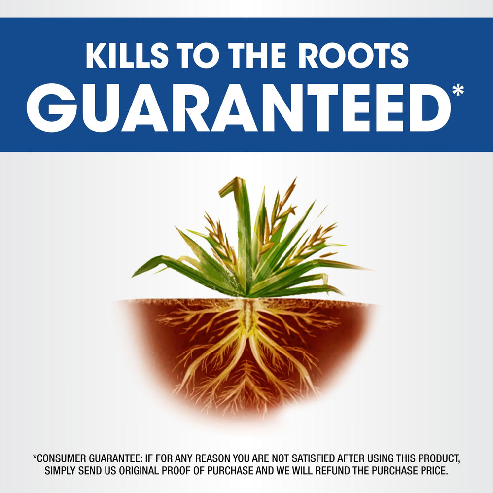 Roundup Weed & Grass Killer4 Concentrate liquid in spray bottle